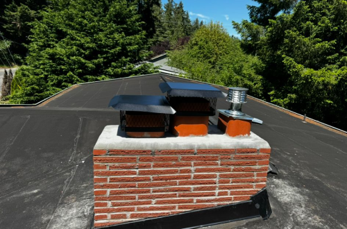 WhatsApp Image 2025-12-14 at 22.00.17